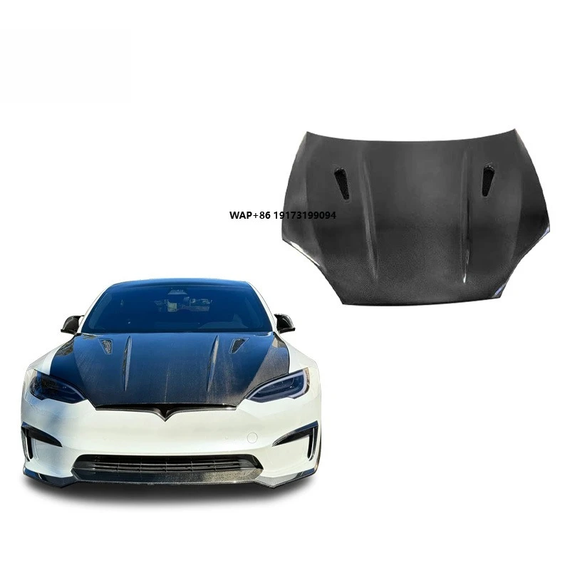 

2022 Model Model S with Carbon Fiber Hood Modification