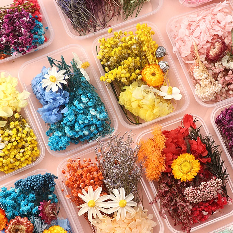 Artificial Plants Natural Real Dried Flowers For Candles Mold Epoxy Resin DIY Making Decoration Home Accessories Crafts