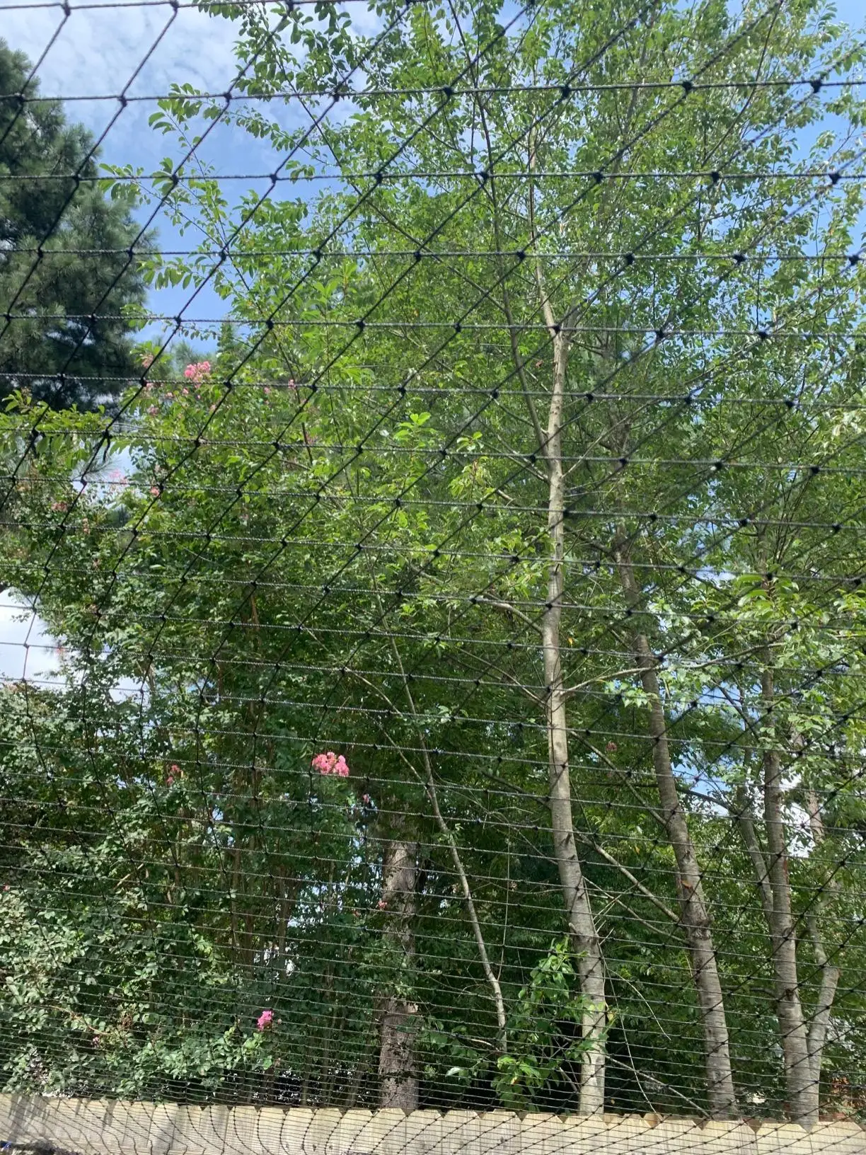 Stahldrahtverstärktes Katzennetz für Balkon, Katzen-Anti-Fall-Netz, Gartennetz, Anti-Vogel-Netz mit Draht für Fenster, Treppenrasen – Detail 12