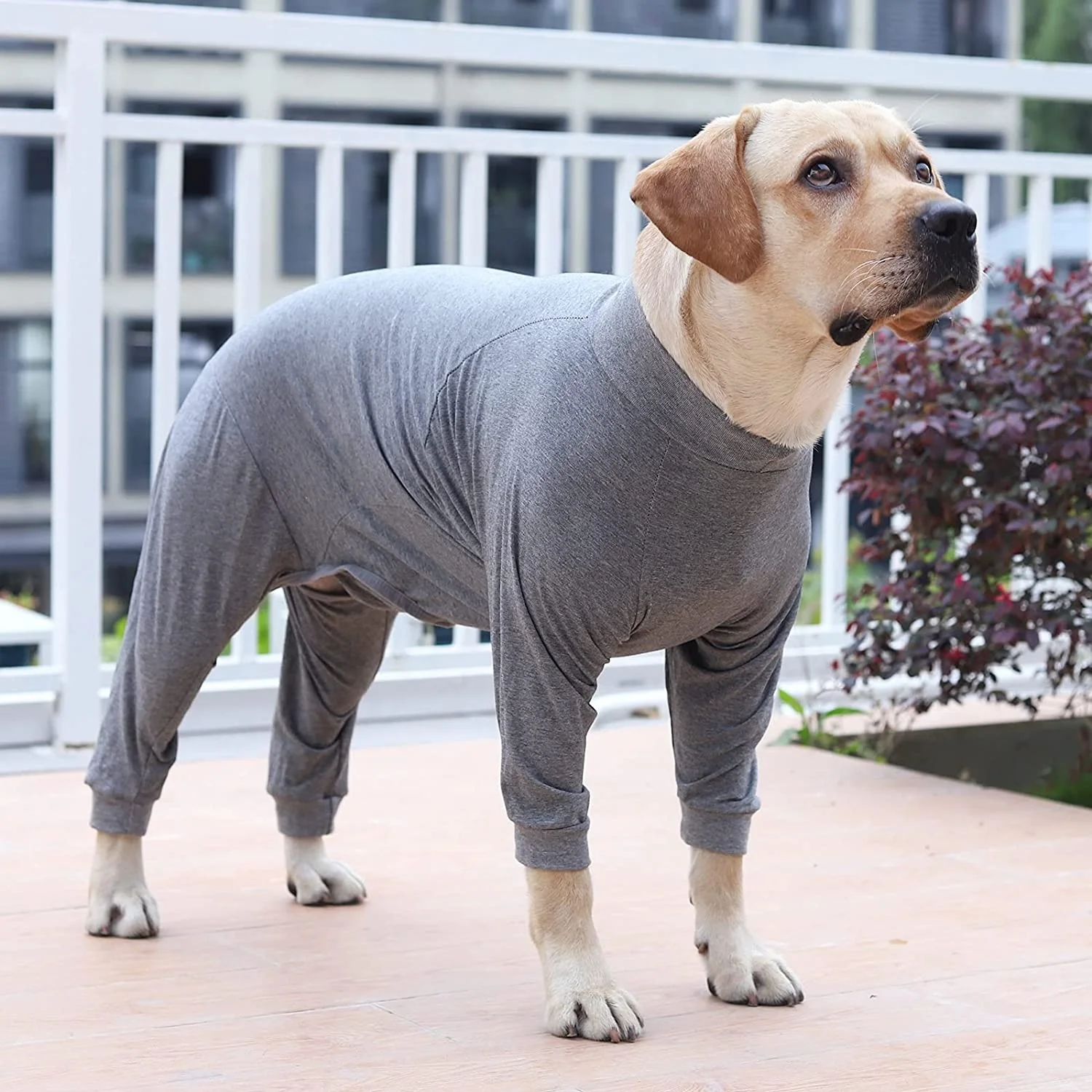 Soft Surgery Recovery Suit Postoperative Shirt Dog Pajamas Long Sleeve Prevent Shedding Dog Recovery Suit