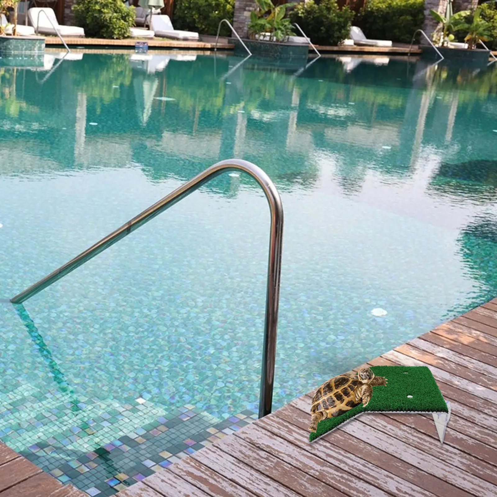 3Pcs Pool Animal Ramps Pet Safety Escape Ladder Compact Portable Suction Cup Cats Frogs Reptiles Ponds