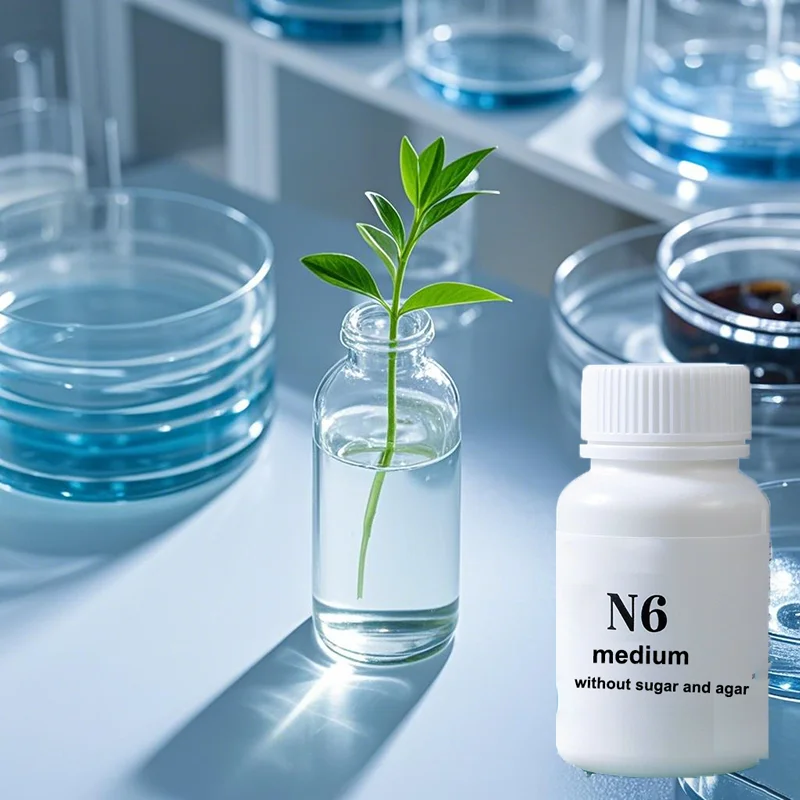 N6 متوسط بدون سكر أو أجار ثقافة الأنسجة ثقافة بروتوبلاست ثقافة أخرى زراعة النباتات المتجددة 50 جرام 100 جرام 250 جرام #6