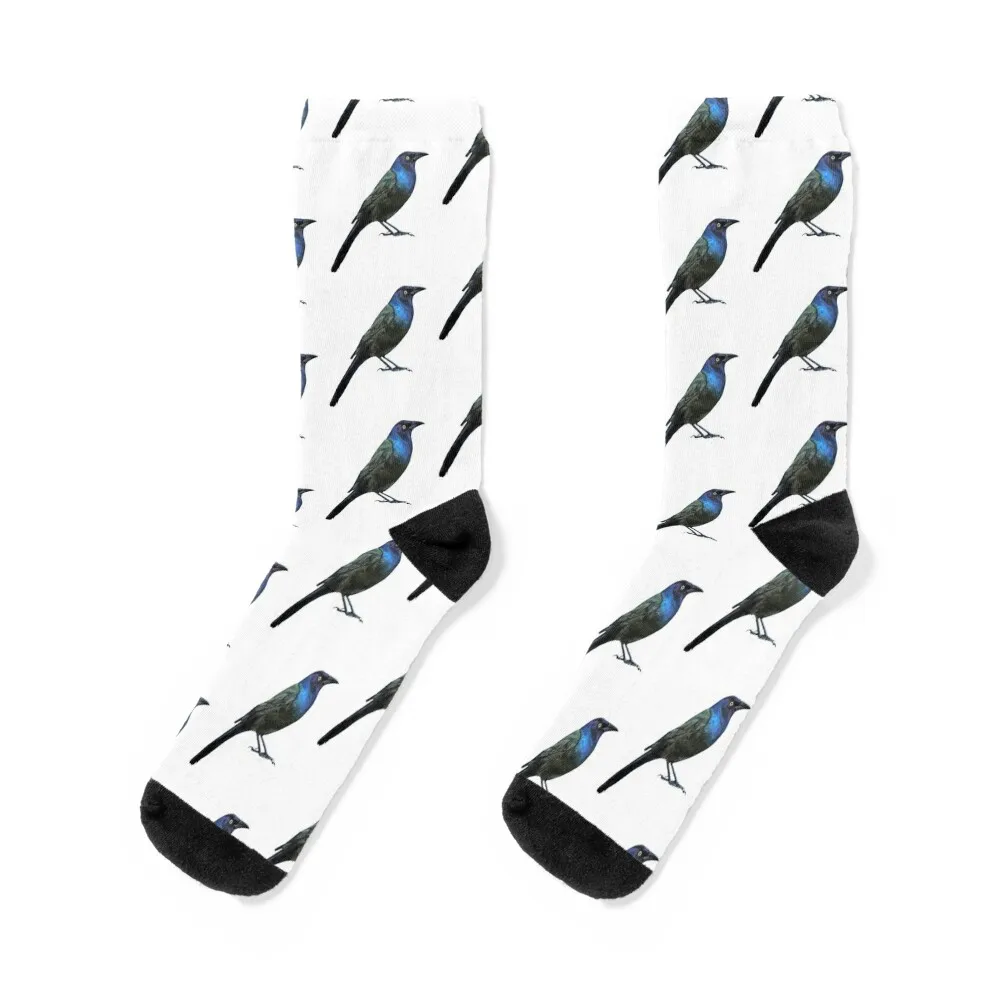 

Grackle Business (no background) Socks gift hip hop sport Socks For Man Women's