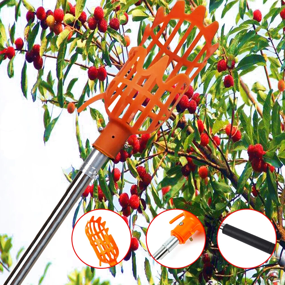 Fruit Picker | Detachable Peach Picker | Safe And Convenient Tree Picker for Apples Mango Pear Orang