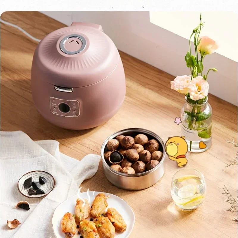 cross-borderHot salesBlack Garlic Machine Intelligent Capacity Automatic Homemade Fermenting Machine for Black Garlic Single-Pet