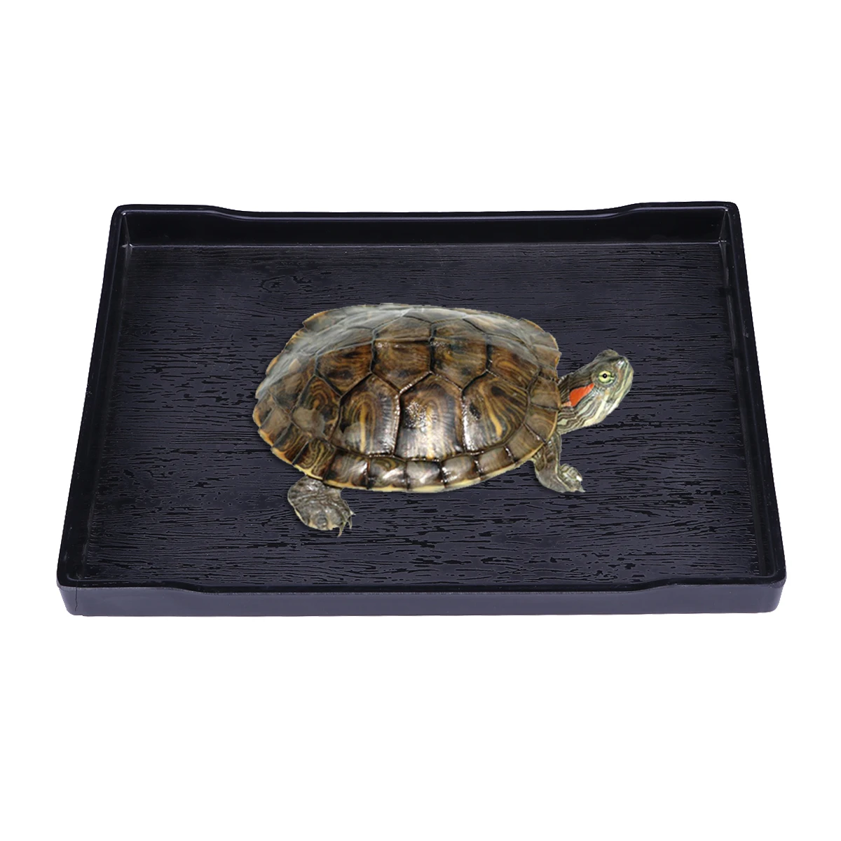 

Large Feeding Bowl Shallow Design Weighted Reptile Dish for Pet Food Water Bath Supplies Pet Food and Water Dish