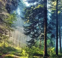 Для Land Rover Defender 110 2020 2021 2022 2023, дверь автомобиля, окно, средняя колонна, защитная накладка из ПК, черная полоса, декоративная наклейка