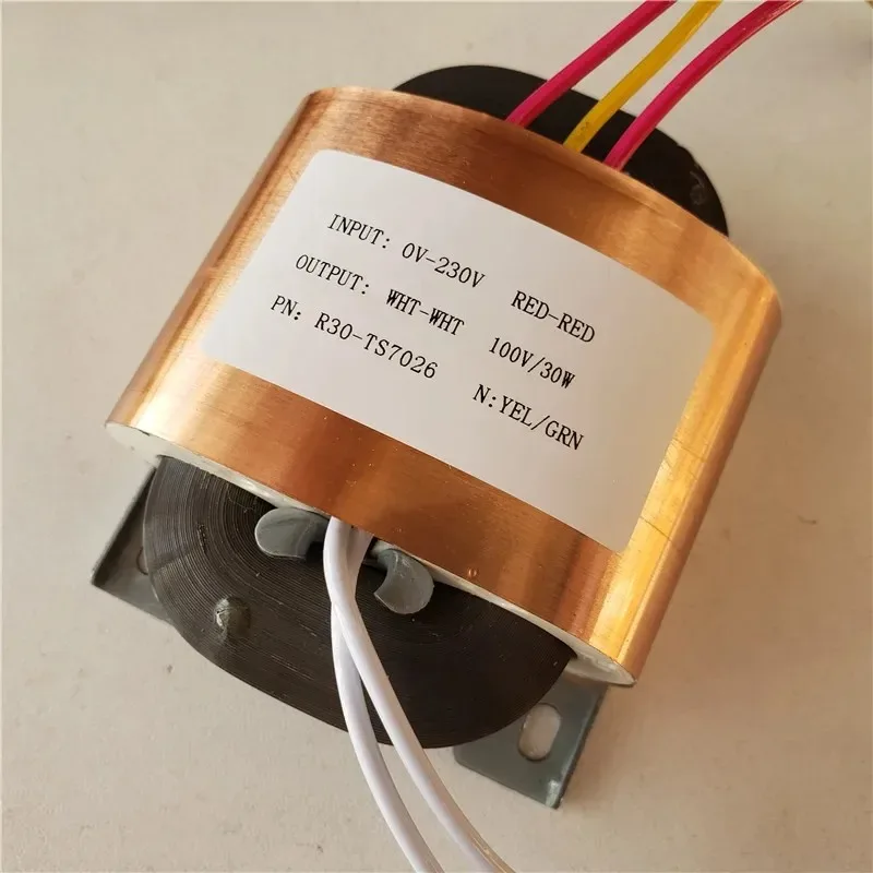 R Core Transformer 30W R30 R Type Isolation Transformers 230V To 100V 0.3A Copper Custom Shield Pre-Decoder DAC Power Amplifier