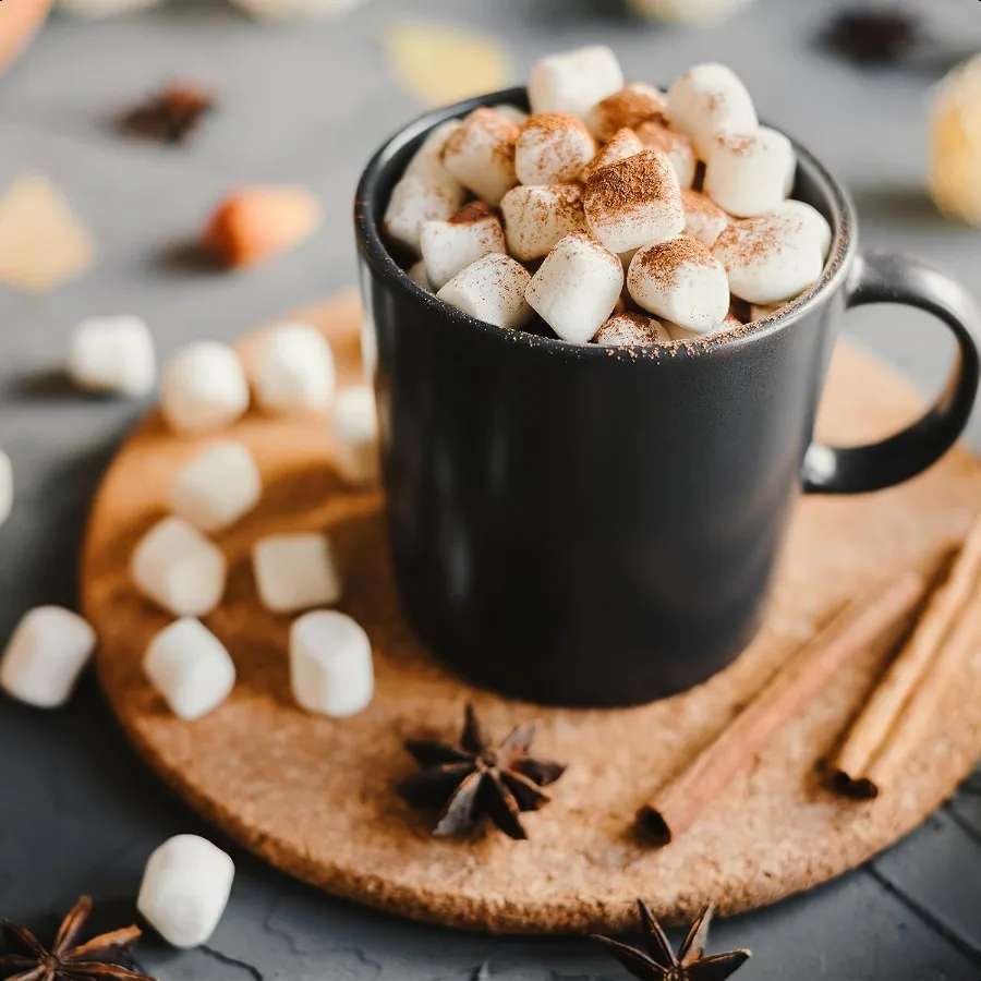 Posavasos de corcho absorbentes redondos de 6 pulgadas, posavasos de plantas de corcho de madera para bebidas caseras, mesa de centro, comedor, mesa de madera, escritorio, 12 Uds.