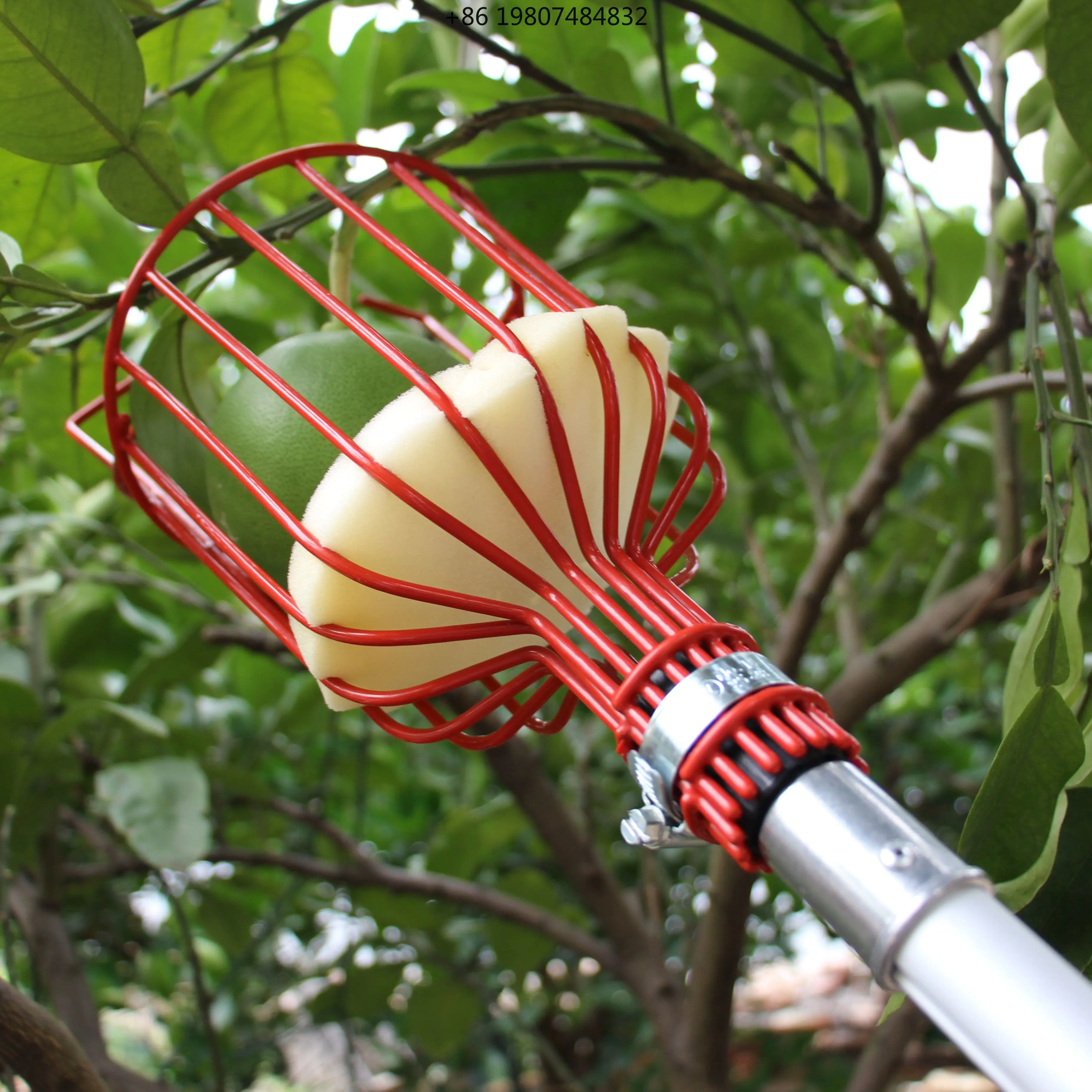 Pole 3-section Flip Lock Manual Fruit Picker Harvest Basket For 18ft 5.4m Adjustable Aluminum Telescopic