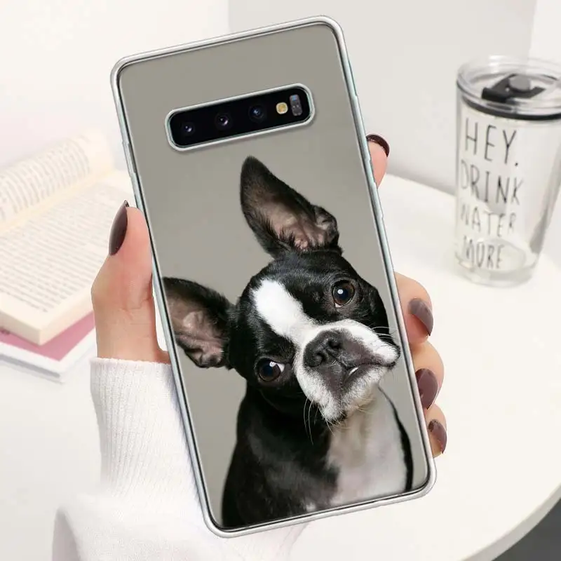 french Bulldog dog animals Phone Case For M12 M21 M30S M31S M32 M51 M52 Note 10 Lite 20 Ultra 9 8 + J4 J6 Plus J8 Soft Cover Coq