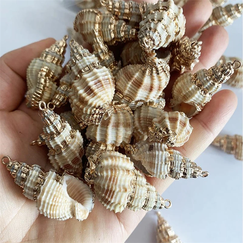 Natural Sea Shell Colored Sea Snail Pendant with Gold Edge, Pine Knot, Pendant Necklace, Random Color Mixing, 2-3.5cm, 1Pc