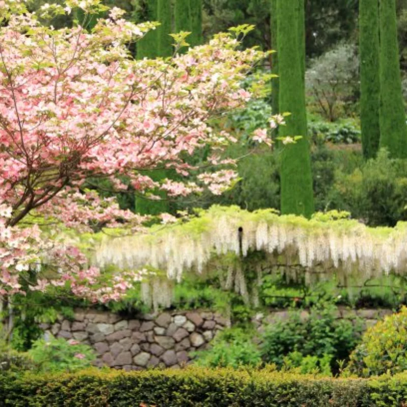 

MJX 1/12 H12Y H12Y+ RC Car Parts – Full Brass Upgrade Kit (Steering Cup,C-Hub, Rear Axle Cup,Gearbox Cover, Counterweight Block)