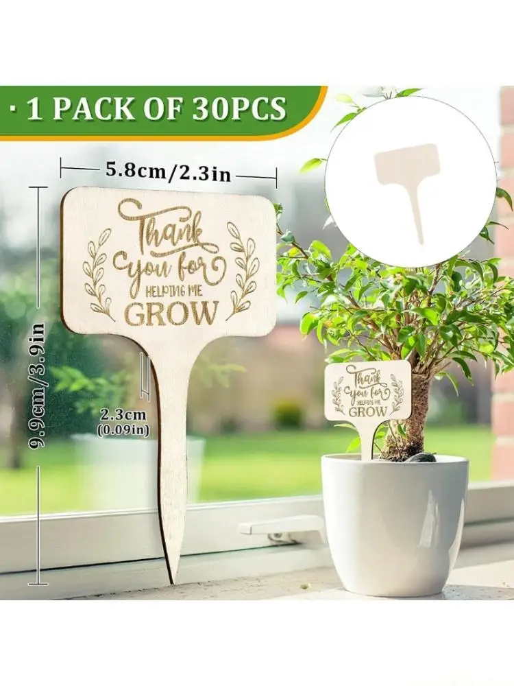 QX2E Plant Identification Garden Marker Cards Plant Sign Labels Labels for Garden Plant