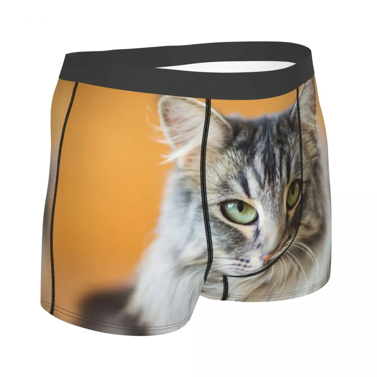 Slip Boxer da uomo di taglia grande gatto slip Boxer mutande altamente traspiranti pantaloncini con stampa di alta qualità Idea regalo