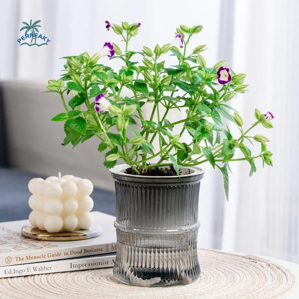 Safety Self-absorbing Plant Pot Wear-resistant Hydroponic Imitation Glass Flower Pot Odorless Lazy Hydroponic Flower Pot Office