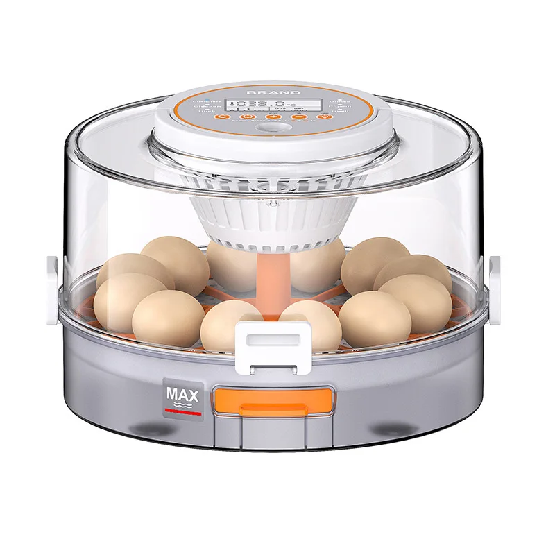

Small Fully Automatic Incubator 12 Eggs Capacity for Chicken Duck Auto Turning Temperature Humidity Control High Hatching Rate