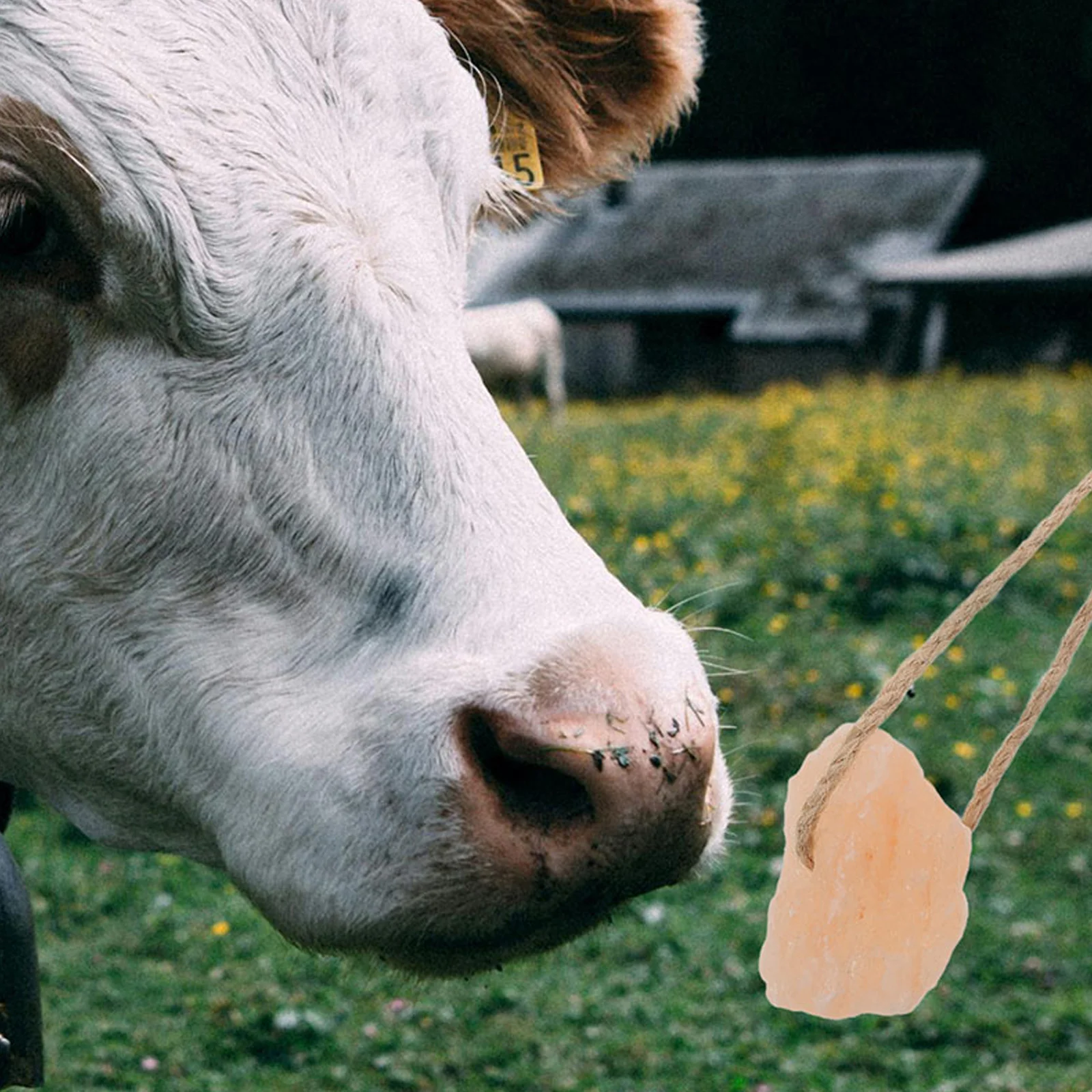 4 Pcs Rabbit Mineral Block for Horse Deer Cattle and Sheep Salt Feeding Hanging Accessories