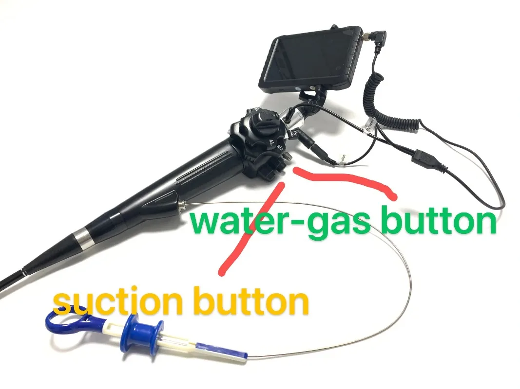 Hot Selling Portable Video Veteriner Gastroscopic Medical Machine Veterinary Equipment