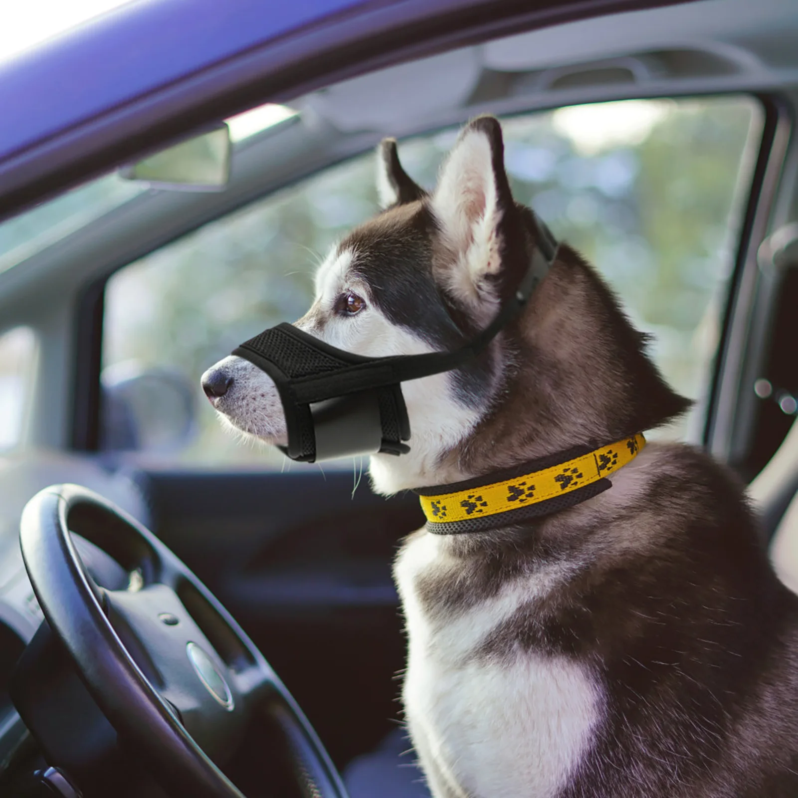 

Anti Bite Dog Muzzle Breathable Puppy Barking Chewing Large Small Comfortable Mouth Cover Hollow Design Durability Lightweight