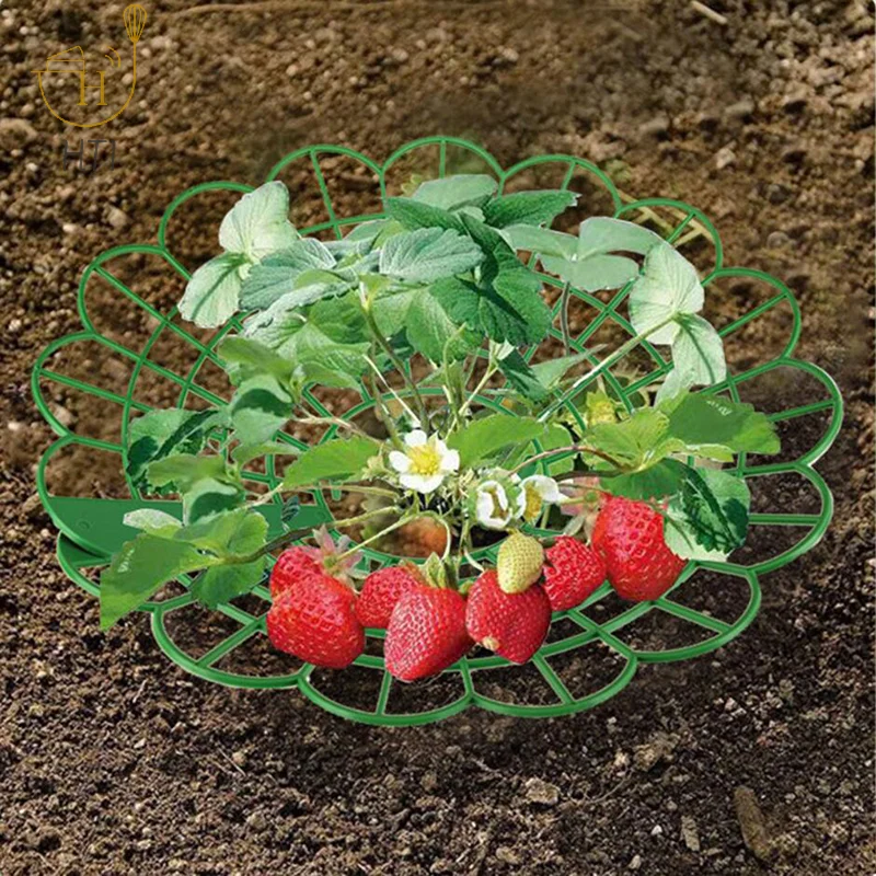 1PC Strawberry Growing Racks Protector Frame Holder Cage From Mold Rot Dirt Strawberry Plant Supports With 3 Sturdy Legs