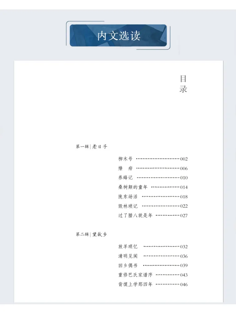 كتاب وينشير باليه على طرف القلم #2