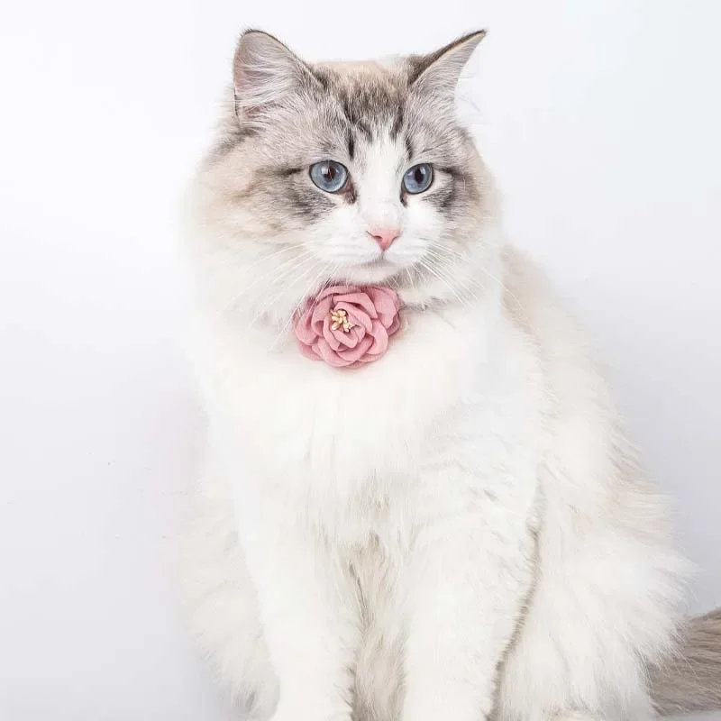 Soild Camellia Pet Collar Kitten Flower Cat Cotton Collar Adjustable Puppy Necklace Decoration Cat Accessories Pet Supplies