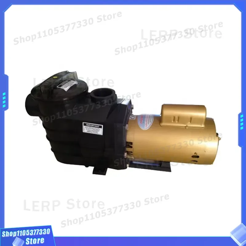 High Power Variable Speed Swimming Pool Pump 220V 240V 50Hz 60Hz Efficient Water Circulation Motor for Inground Pools