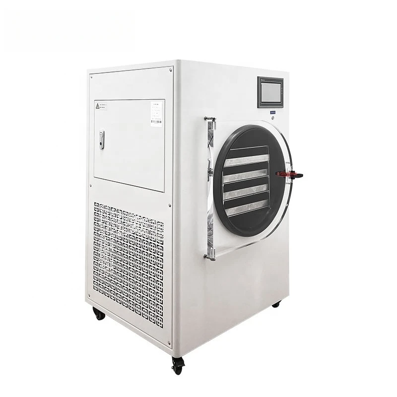 Small Vacuum Drying Lyophilizer Vegetable Fruit Meat Candy Home Freeze Dryer Machine