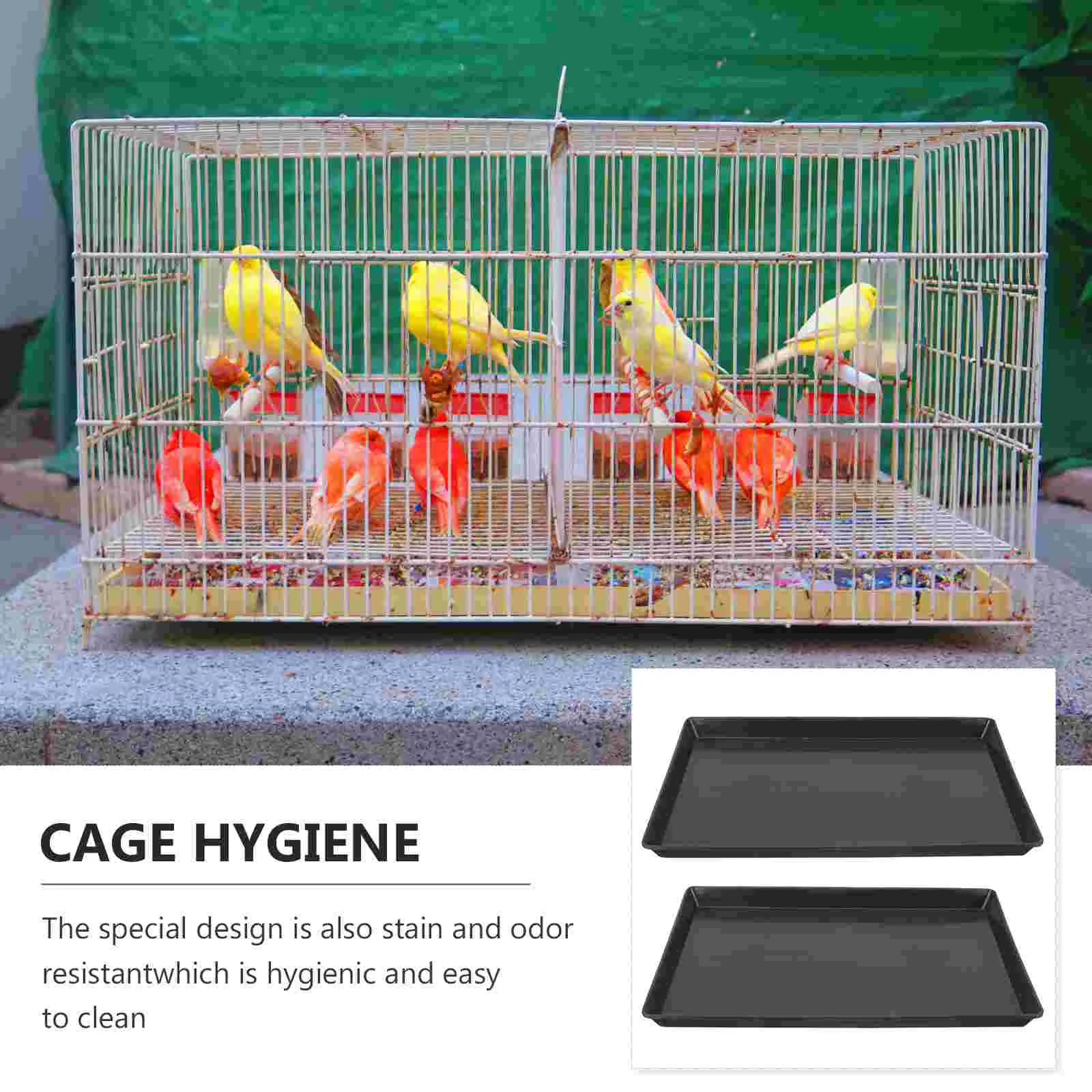 2 Pcs Rabbit Cage Dog Bunny Bottom Tray Small Parrot Bird Potty Plastic for Crate Holders Parakeet Toilet Pan Poop