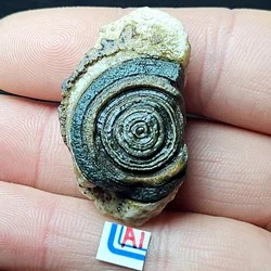 Natural Gobi Eye Energy Agate Mineral Specimen Witchery Crystal Healing Home Decoration Holiday gift