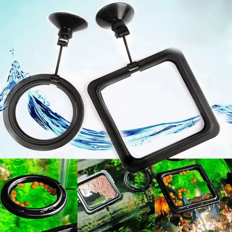 Black Color Aquarium Feeding Ring Fish Tank Floating Food Tray Feeder Square Circle Accessory Fish Food Feeder Suction Cup image 5