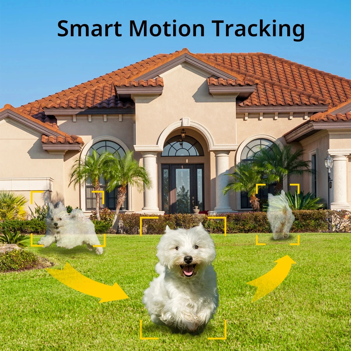 جديد وصول كاميرا تعمل بالطاقة الشمسية لاسلكية للرؤية الليلية بطاقة الذاكرة تخزين التطبيق التحكم Ptz الأمن Ip كاميرا تعمل بالطاقة الشمسية في الهواء الطلق #5