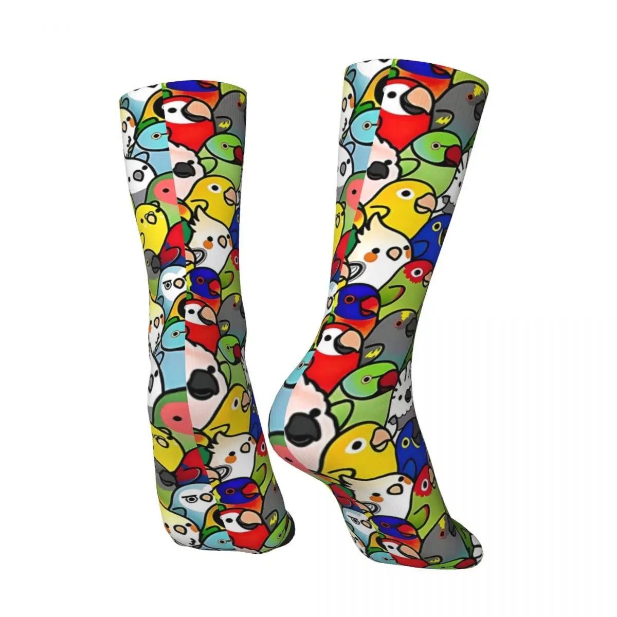 Chaussettes rétro Harajuku sans couture pour hommes, chaussettes d'équipage, motif imprimé, perroquets colorés, heureux, mignon, animal de compagnie, oiseau, cadeau