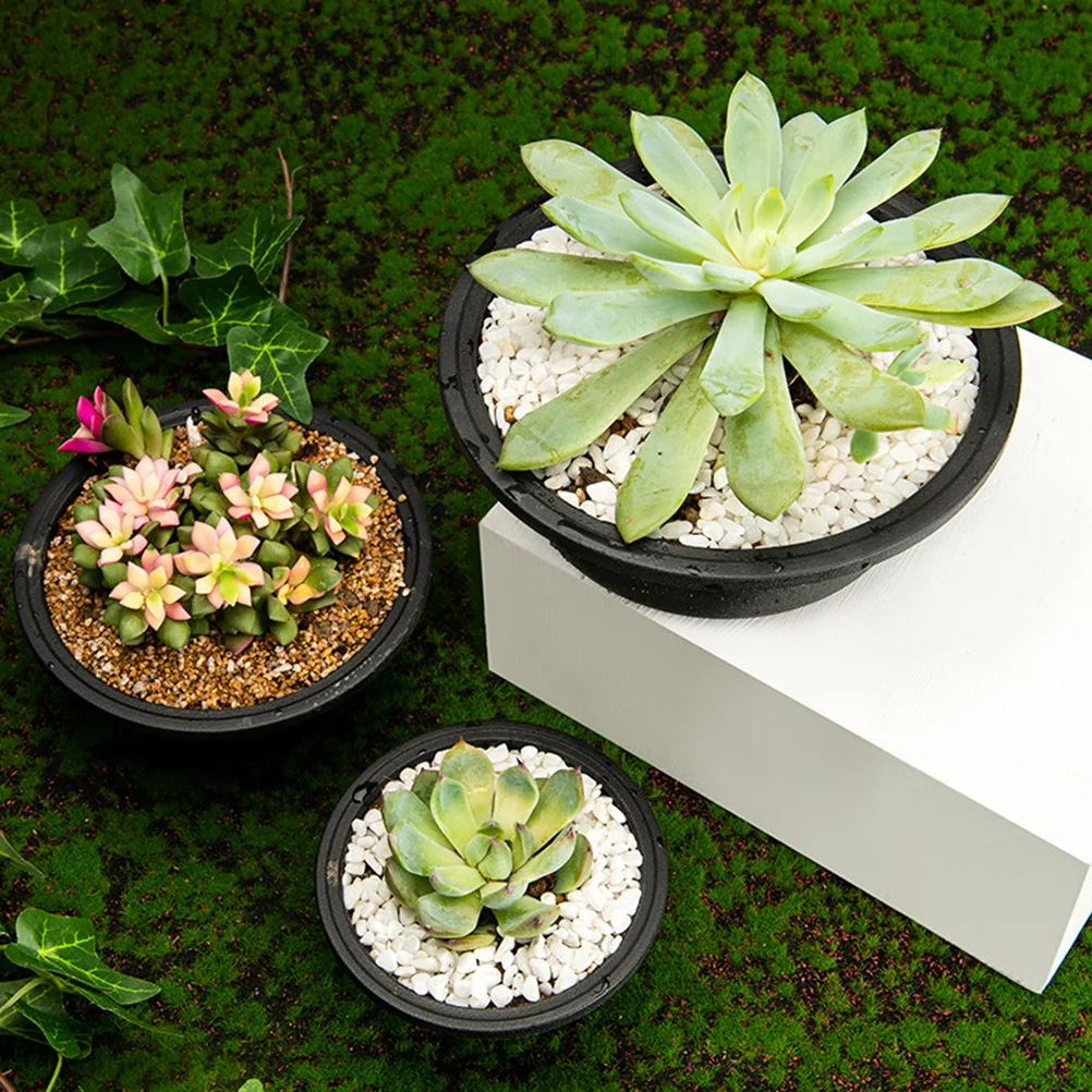 

6 Pcs Succulent Combination Pots Indoor Plant Container Flower Holder Drainage Plastic Planter Bonsai Pot Garden Accessories