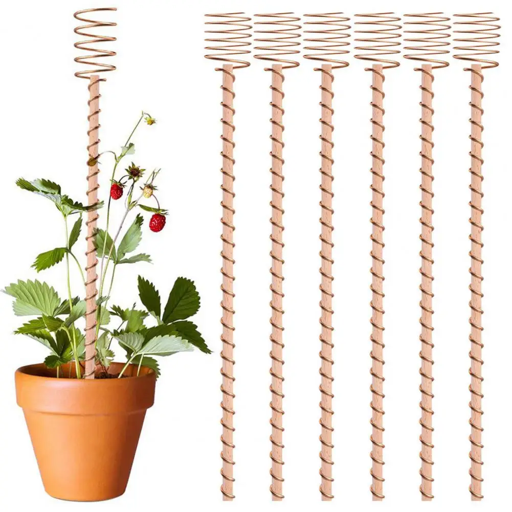 Easy Installation Plant Stake Plant Growing Accessories 6pcs Coil Plant Stakes Electroculture Gardening Antennas for Easy