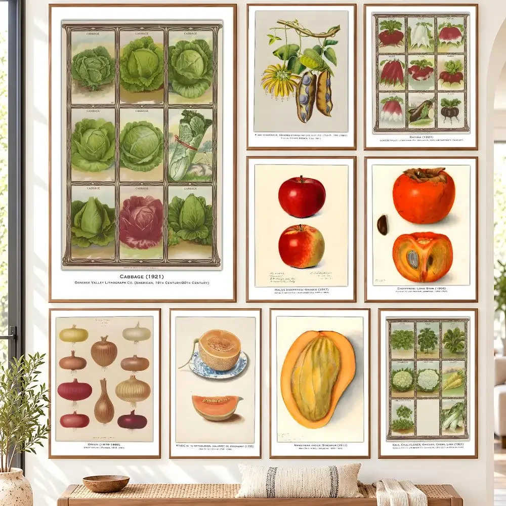 Vintage Vegetables Fruits Botanical Study Illustration Cabbage Radish Poster Matte Wall Art Removable Home Room Decoration