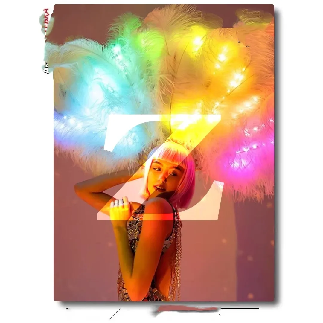 LED colorful feather fan gogo performance costume nightclub ds atmosphere props gogo performance costume