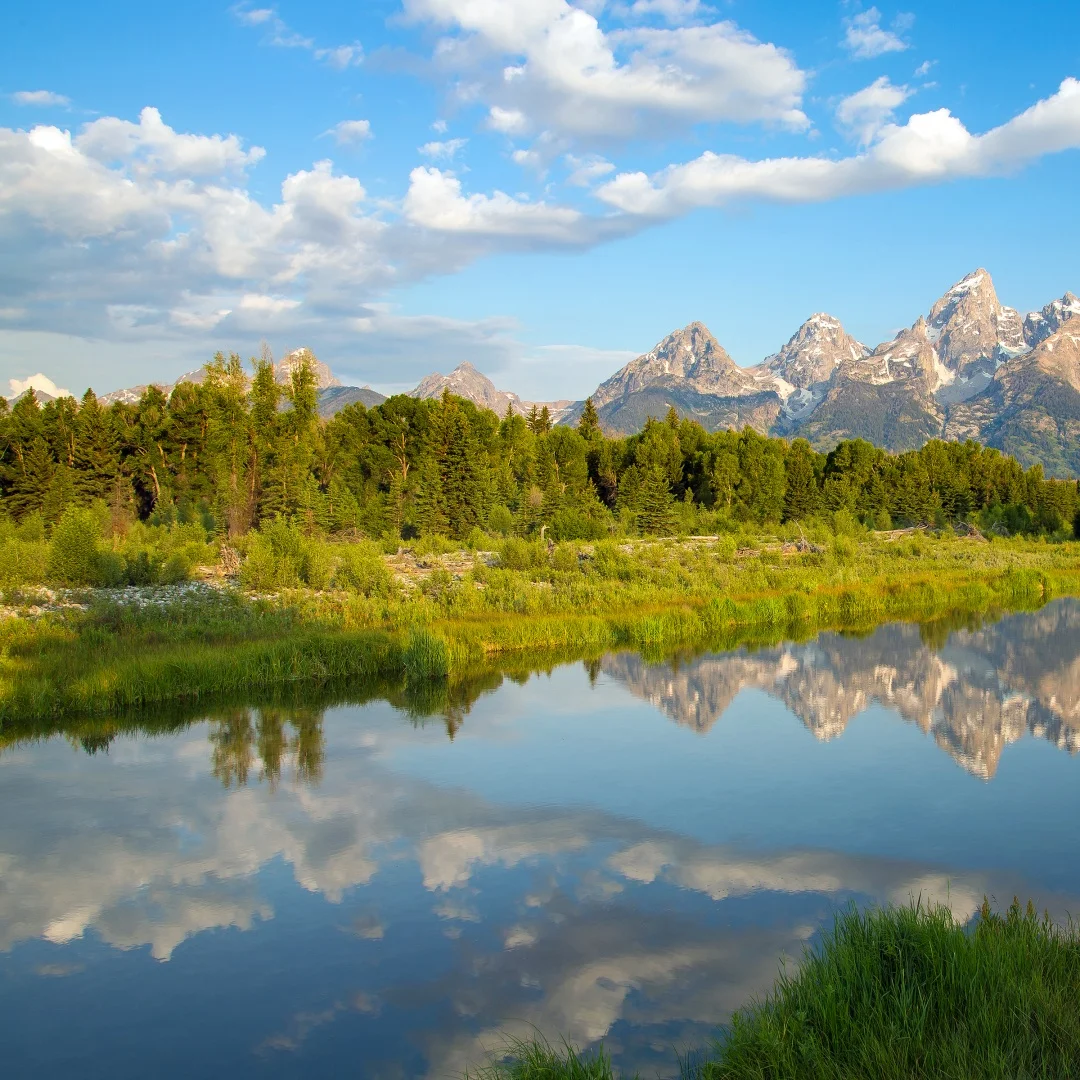 F Virtual Instrumen… - image