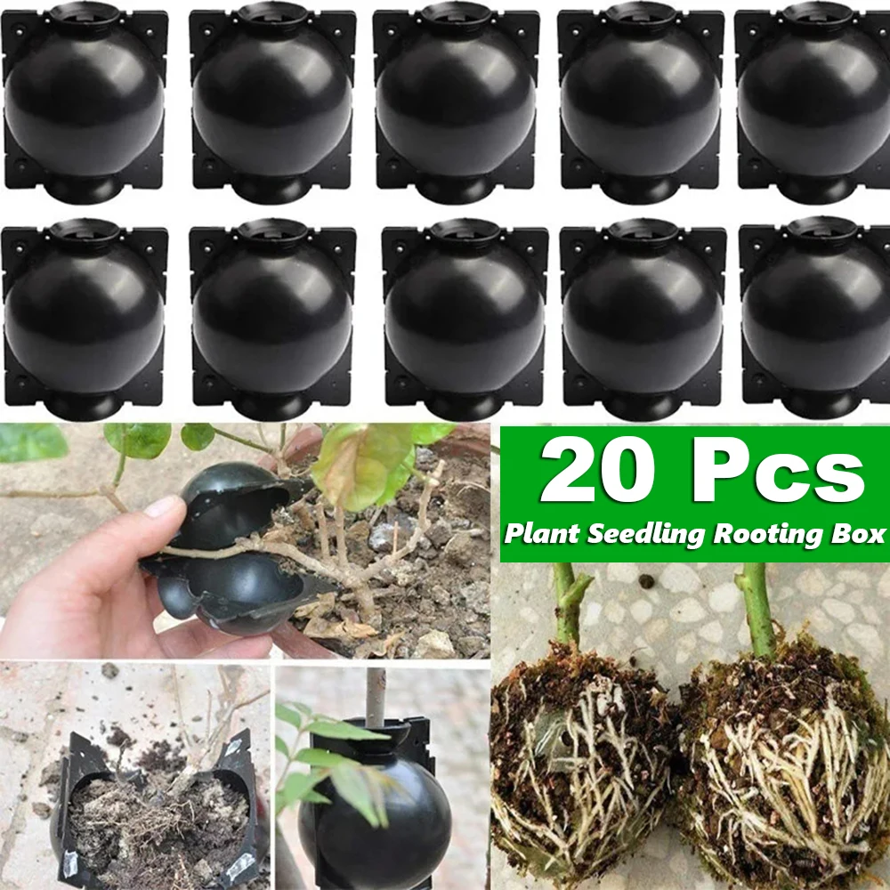 20 Pcs Reusable Plant Root Growing Box Cutting Grafting Rooting Ball Garden Rooting Propagation Ball S Breeding Equipment