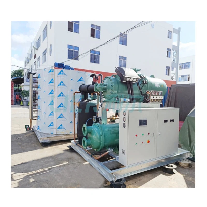 Poultry Processing Machine Flake Ice Machine 25Ton Split Ice Generator with Refrigeration System