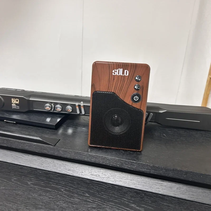 Special Speakers for Wind Instruments Professional Miniature Loudspeaker Hi-fi Sound Effect Portable Wireless Bluetooth Boombox