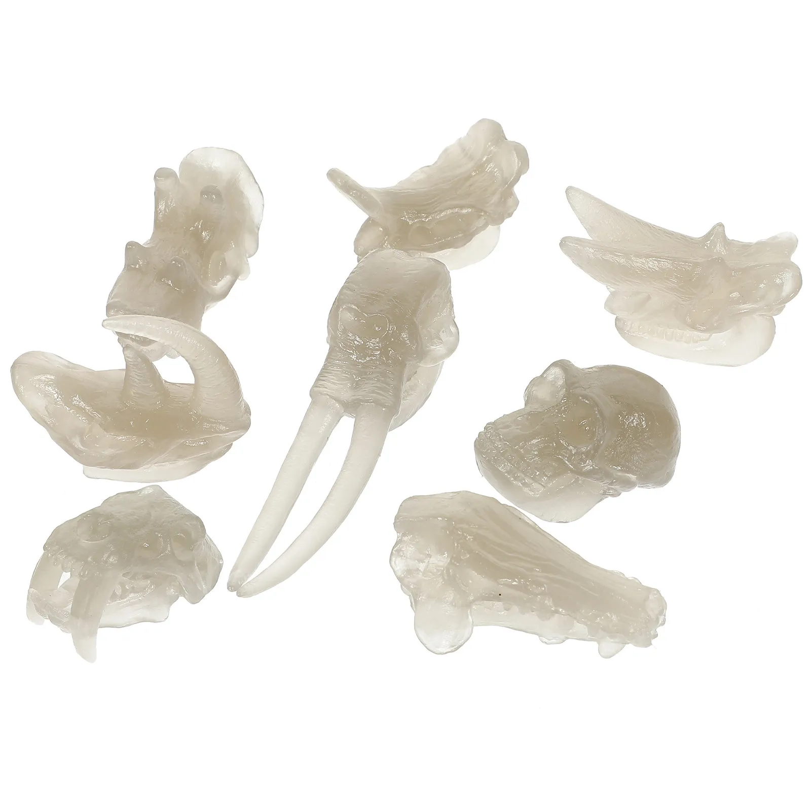 

1Set Dinosaur Skull Bone Luminous Kids Education Plaything Desktop Decor Glow in Dark Dinosaur Fossil Fun Gift