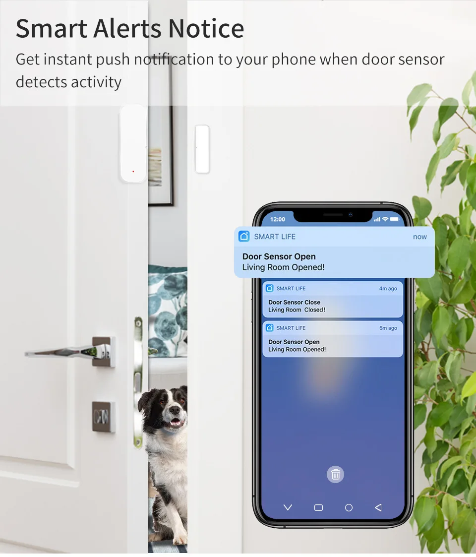 Tuya WiFi Smart Door Window Sensor Open Closed Detector Apartment Security Protection Smart Life APP Control for Alexa Google