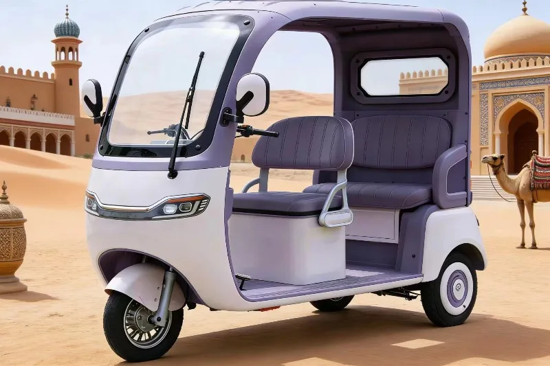 600w 800w 1000w Electric Tricycle Adult Home Scooter Leisure Small Electric Tricycle Hill Climbing Pedal Electric Car