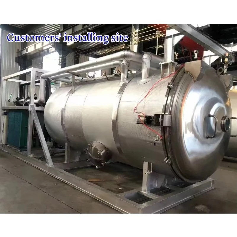 Food Grade 304 Stainless Steel Freeze Dryer Lyophilizer, Multiple Capacities for Fruit, Vegetable & Pet Food Drying Factory