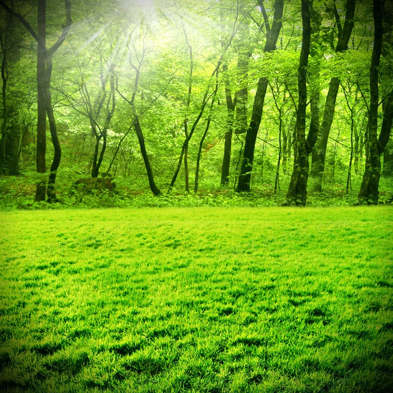 

Контроллер полета B-CUBE F4V3S — барометр OSD для гоночного квадрокоптера INAV Betaflight Q250 FPV, стек 20 × 20 мм