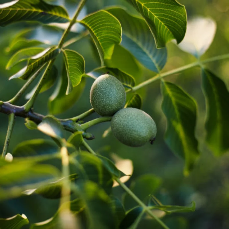 

Metal Front Bumper for MN D90 D91 D96 MN90 MN99S 1/12 RC Car Upgrade Parts Accessories