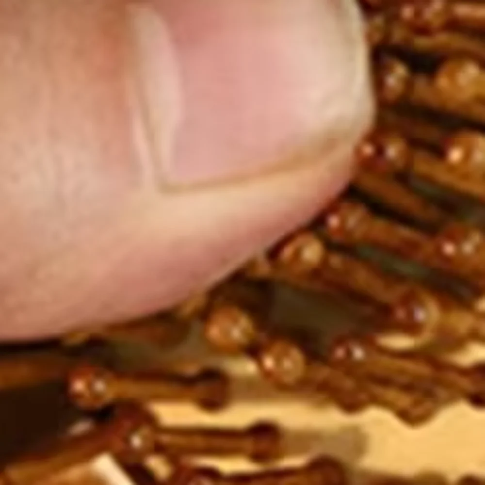 

Cute Sandalwood Sandalwood Hair Comb Anti Static Cat Shaped Hair Comb Wooden Paddle Cushion Hair Hairbrush