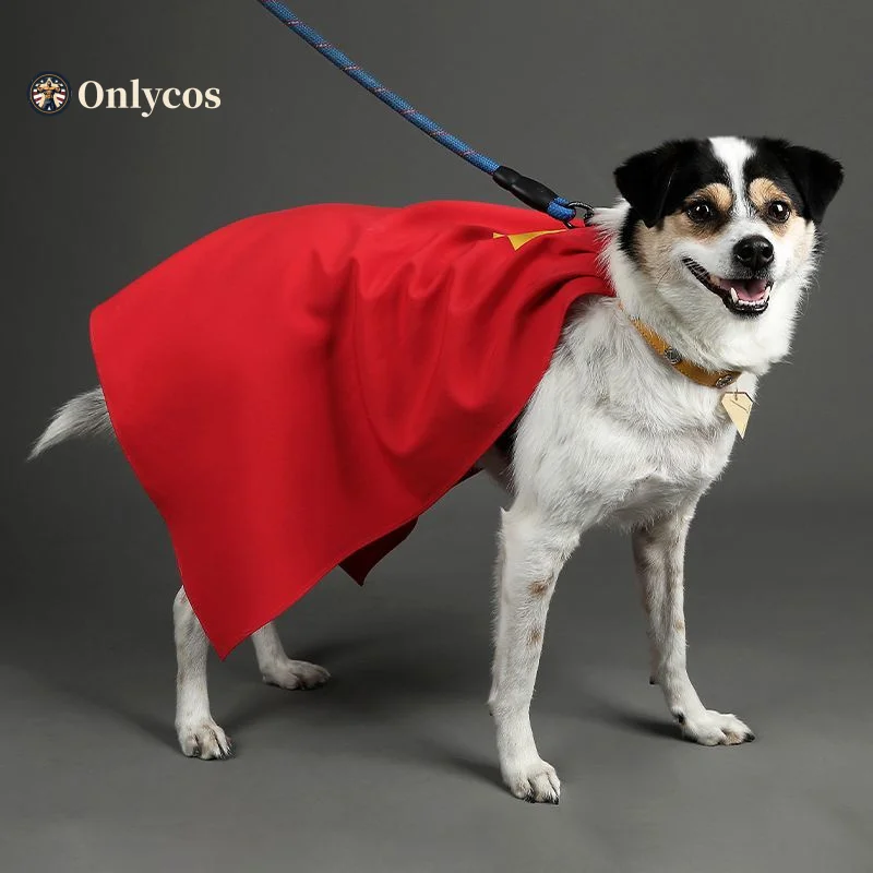 2025 خارقة كريبتو تأثيري حلي الحيوانات الأليفة الرأس مع طوق هالوين كرنفال الزي الرسمي أنيمي الملابس Onlycos